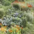 In unserer Gartengemeinschaft wird der Humus lebendig erhalten