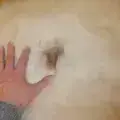 schöne dichte Faser, hier der naturbraune Fleck