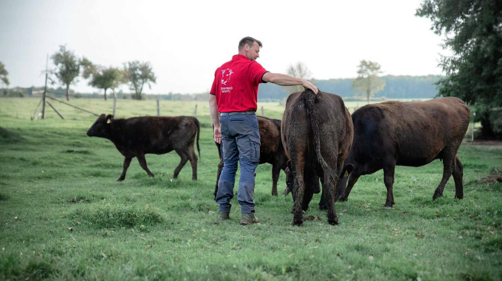 Bramwald Wagyu