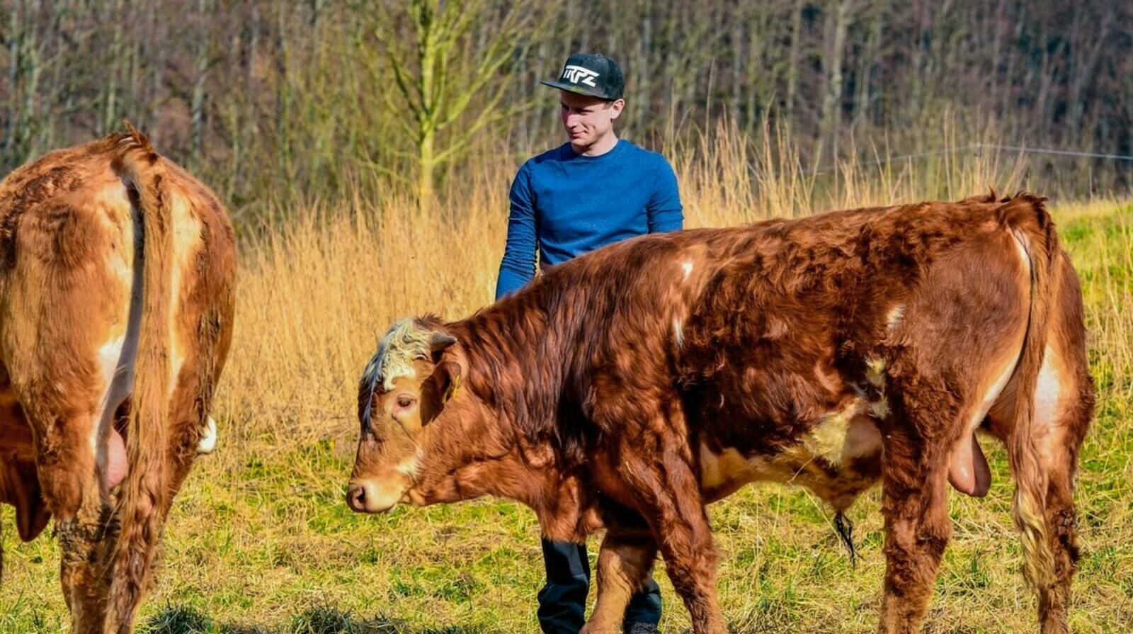 Das tapfere Bäuerlein GmbH
