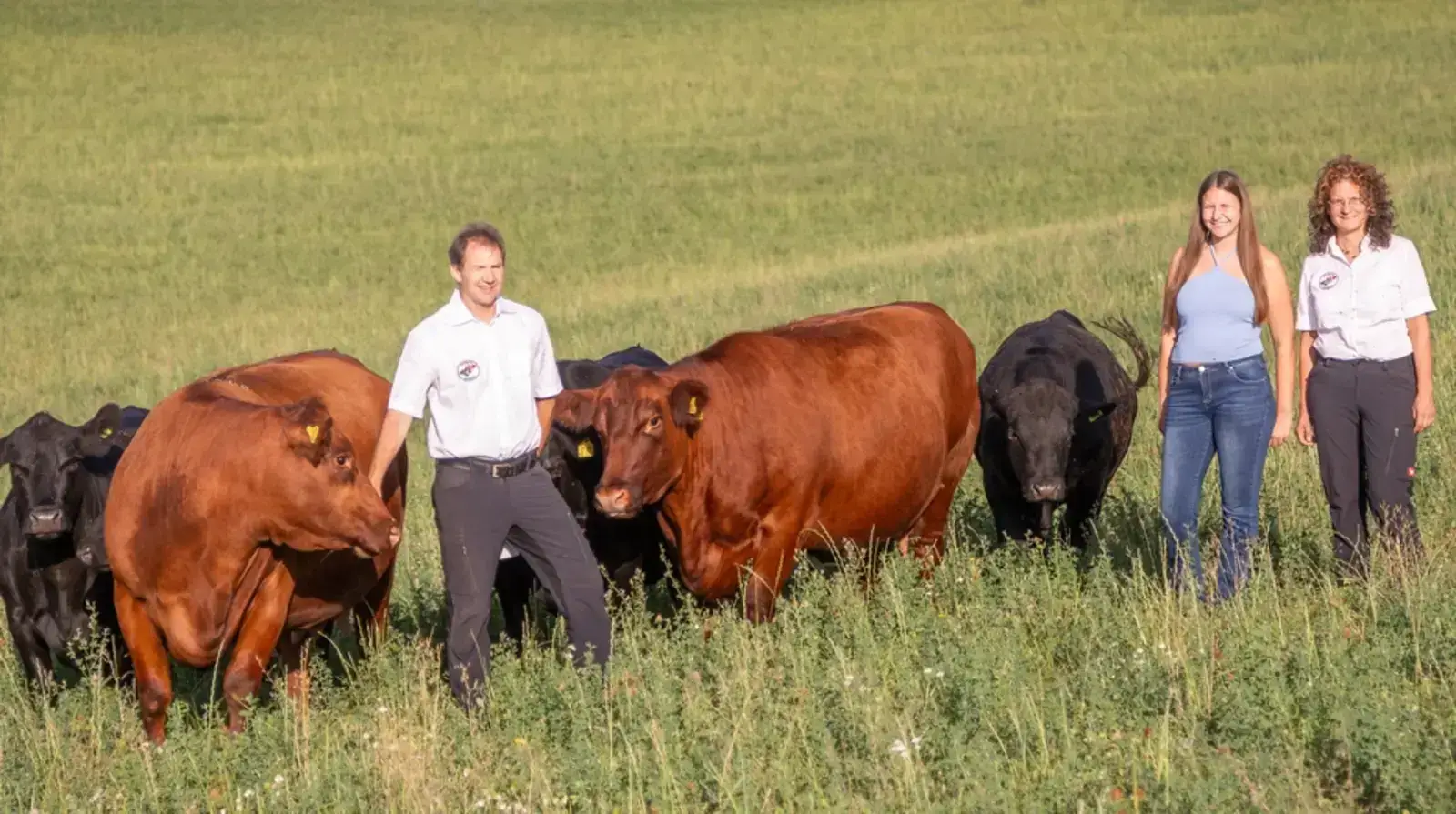 Familie Kohlhepp inmitten der Angusherde.